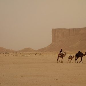 Saudi Arabia-4